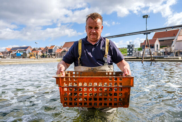 Nederlandse Oester vereniging portretten