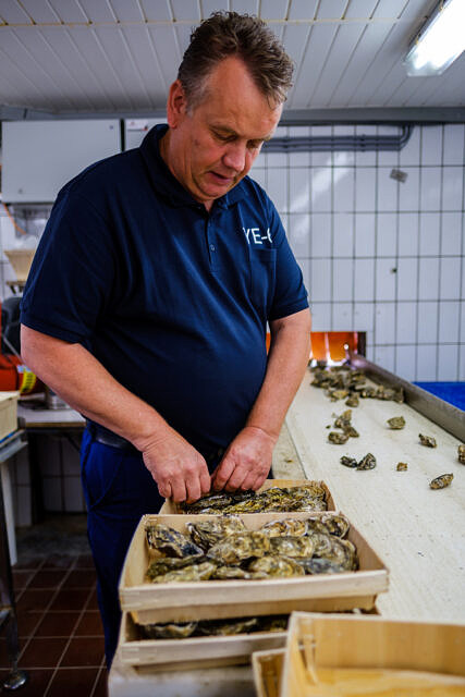 Nederlandse Oester vereniging portretten