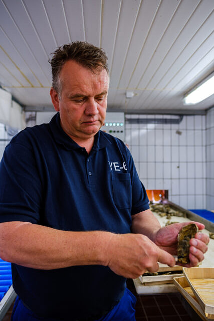 Nederlandse Oester vereniging portretten