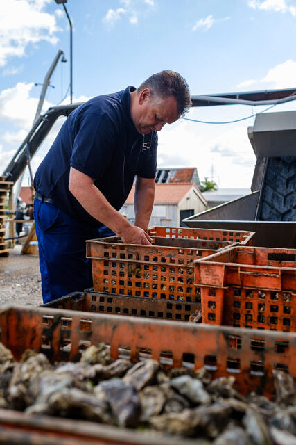 Nederlandse Oester vereniging portretten